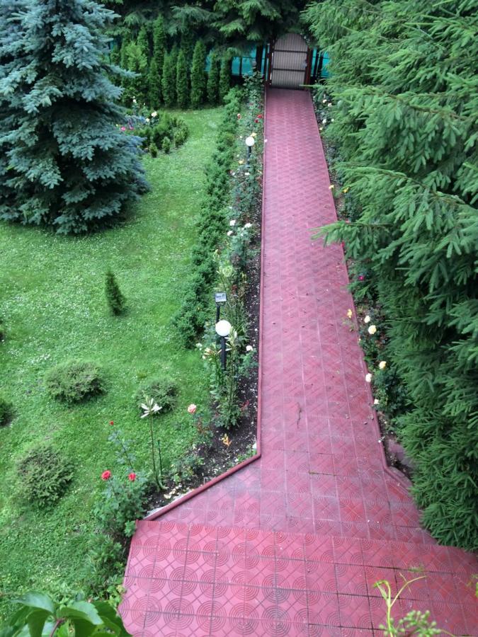 Vila Phoenix Apart otel Predeal Dış mekan fotoğraf