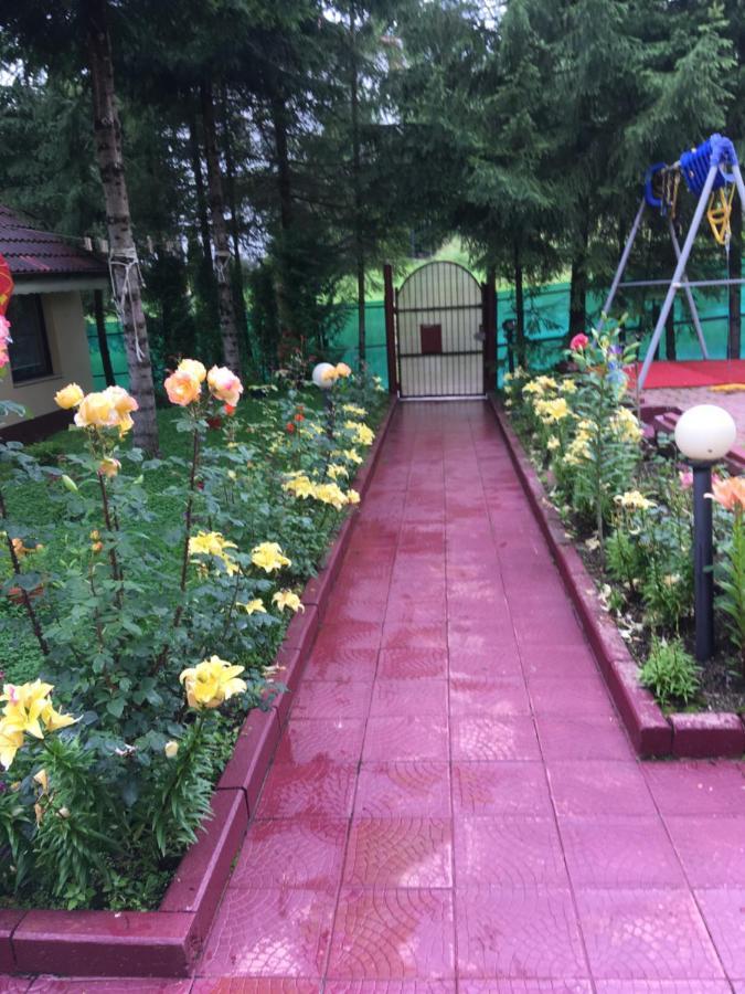 Vila Phoenix Apart otel Predeal Dış mekan fotoğraf