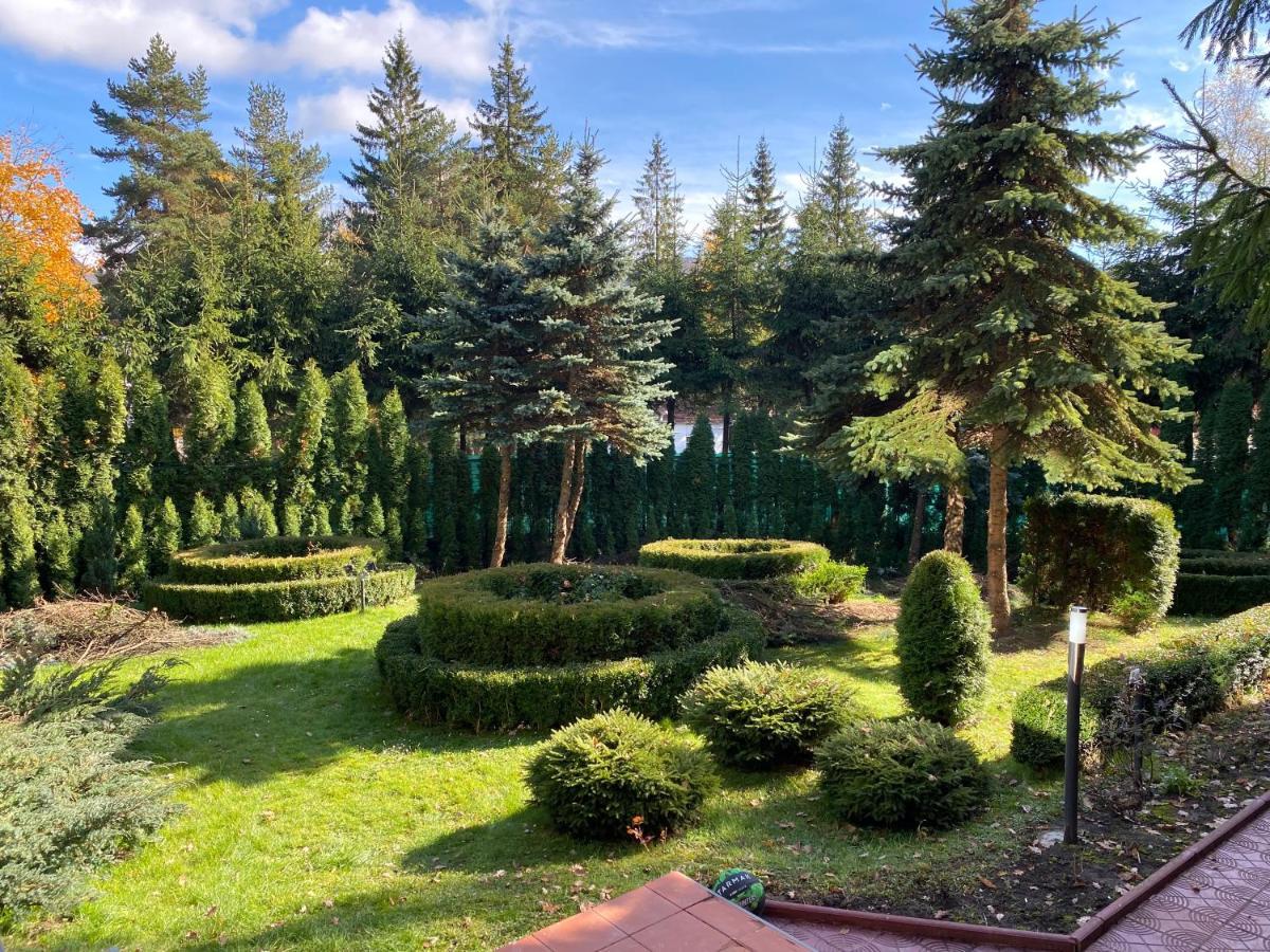 Vila Phoenix Apart otel Predeal Dış mekan fotoğraf