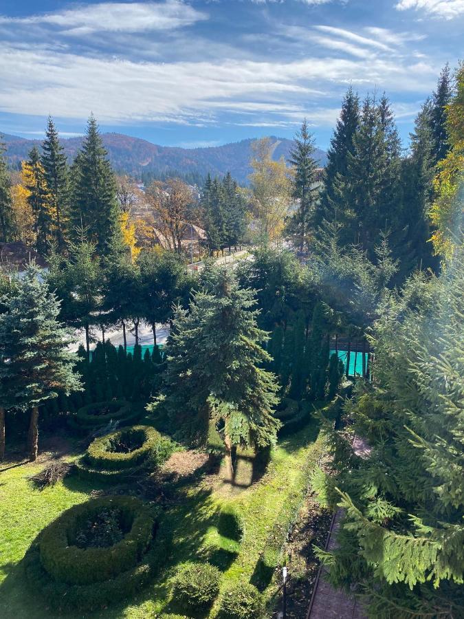 Vila Phoenix Apart otel Predeal Dış mekan fotoğraf