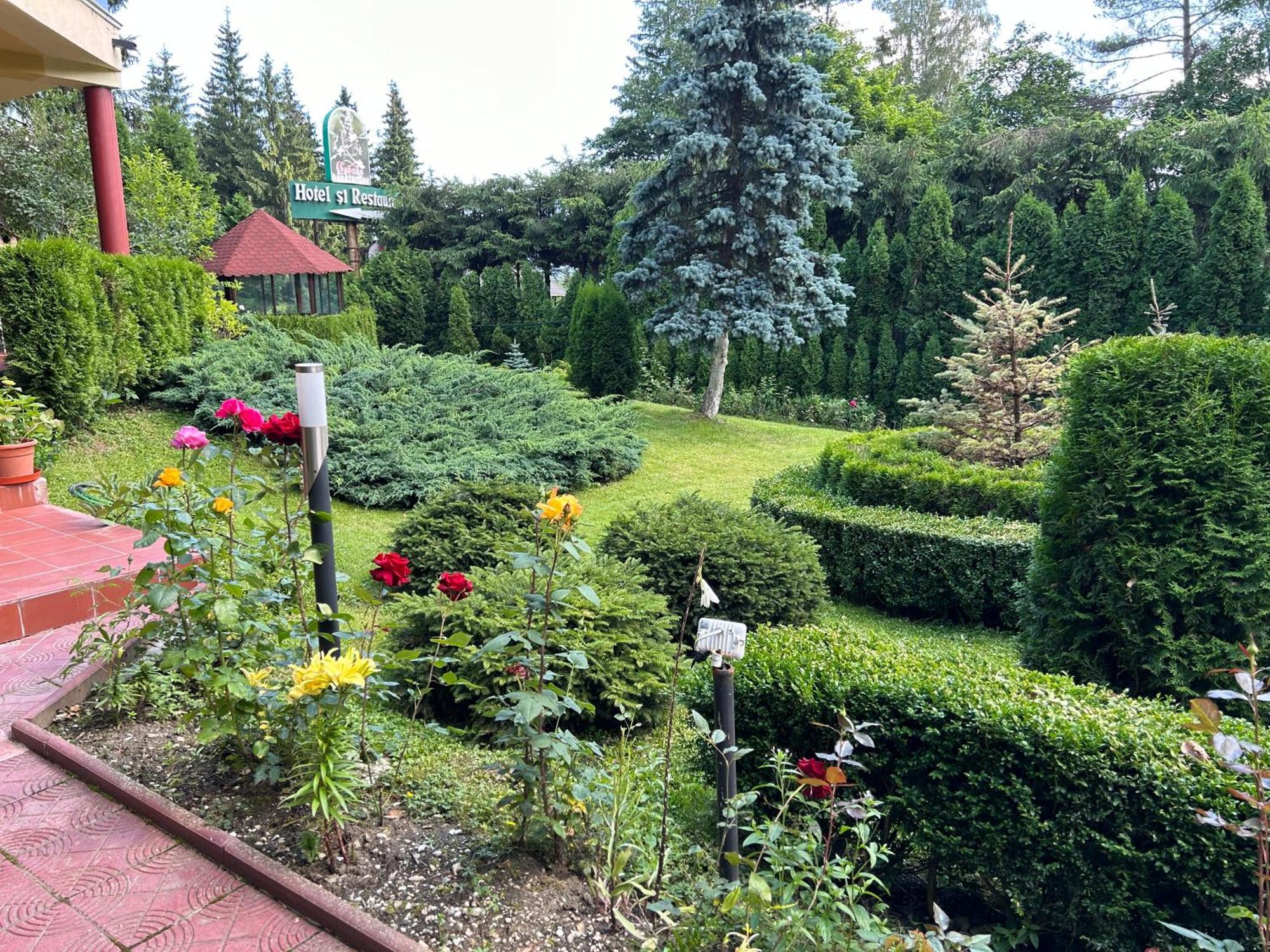 Vila Phoenix Apart otel Predeal Dış mekan fotoğraf
